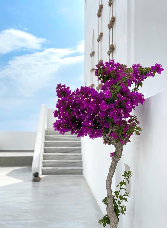 Hermoso Luxury Suites Monólithos Eksteriør bilde